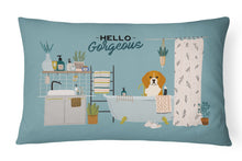 Load image into Gallery viewer, Tricolor Beagle in Bathtub Canvas Fabric Decorative Pillow CK7462PW1216