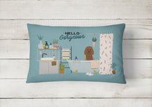 Load image into Gallery viewer, Irish Water Spaniel in Bathtub Canvas Fabric Decorative Pillow CK7485PW1216