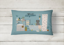 Load image into Gallery viewer, Black Briard in Bathtub Canvas Fabric Decorative Pillow CK7503PW1216
