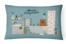 Load image into Gallery viewer, Red Chow Chow in Bathtub Canvas Fabric Decorative Pillow CK7564PW1216