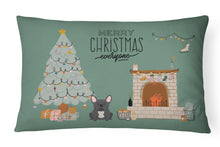 Load image into Gallery viewer, Black French Bulldog Christmas Everyone Canvas Fabric Decorative Pillow CK7577PW1216