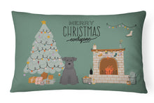 Load image into Gallery viewer, Black Miniature Schnauzer Christmas Everyone Canvas Fabric Decorative Pillow CK7614PW1216