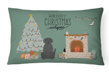 Load image into Gallery viewer, Black Labrador Christmas Everyone Canvas Fabric Decorative Pillow CK7620PW1216