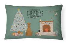 Load image into Gallery viewer, Irish Terrier Christmas Everyone Canvas Fabric Decorative Pillow CK7625PW1216