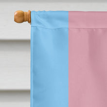 Load image into Gallery viewer, Transgender Pride Flag Canvas House Size