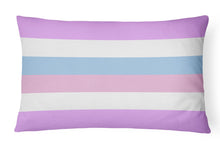 Load image into Gallery viewer, Bigender Pride Canvas Fabric Decorative Pillow
