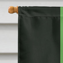 Load image into Gallery viewer, Neutrois Pride Flag Canvas House Size