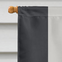 Load image into Gallery viewer, Skiliosexual Pride Flag Canvas House Size