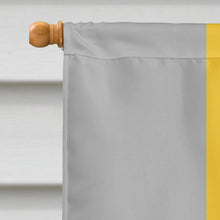 Load image into Gallery viewer, Lithromantic Pride Flag Canvas House Size
