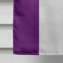 Load image into Gallery viewer, Asexual Pride Flag Canvas House Size