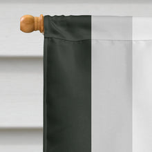Load image into Gallery viewer, Agender Pride Flag Canvas House Size