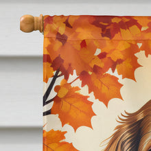 Load image into Gallery viewer, Boykin Spaniel Fall House Flag