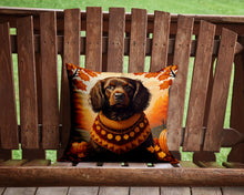Load image into Gallery viewer, Boykin Spaniel Fall Throw Pillow - 14x14 Decorative Pillow – Art for Your Home &amp; Patio
