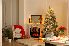 Load image into Gallery viewer, Briard Christmas Christmas Stocking