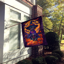 Load image into Gallery viewer, Affenpinscher Witchy Halloween House Flag