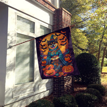 Load image into Gallery viewer, Akita Witchy Halloween House Flag