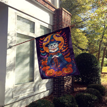 Load image into Gallery viewer, American Eskimo Witchy Halloween House Flag