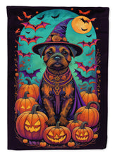 Load image into Gallery viewer, Border Terrier Witchy Halloween House Flag