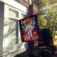 Load image into Gallery viewer, White Boxer Witchy Halloween House Flag