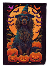 Load image into Gallery viewer, Boykin Spaniel Witchy Halloween Garden Flag – Witch Dog with Pumpkins, Bats &amp; Jack-o'-Lanterns