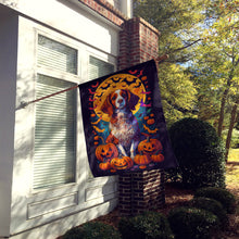 Load image into Gallery viewer, Brittany Spaniel Witchy Halloween House Flag