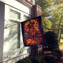 Load image into Gallery viewer, Irish Setter Witchy Halloween House Flag