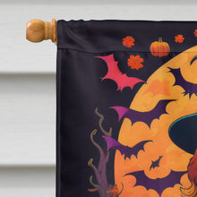Load image into Gallery viewer, Irish Setter Witchy Halloween House Flag