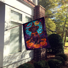 Load image into Gallery viewer, Chocolate Labrador Retriever Witchy Halloween House Flag