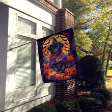 Load image into Gallery viewer, Black Pug Witchy Halloween House Flag