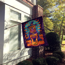 Load image into Gallery viewer, Shar Pei Witchy Halloween House Flag