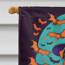 Load image into Gallery viewer, Shar Pei Witchy Halloween House Flag