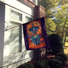 Load image into Gallery viewer, Weimaraner Witchy Halloween House Flag