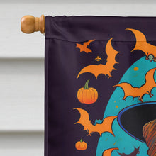 Load image into Gallery viewer, Welsh Terrier Witchy Halloween House Flag