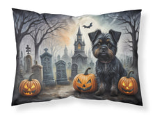 Load image into Gallery viewer, Affenpinscher Spooky Halloween Fabric Standard Pillowcase – Artistic Decorative Front, White Back