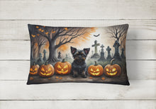 Load image into Gallery viewer, Affenpinscher Spooky Halloween Fabric Decorative Pillow