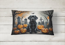 Load image into Gallery viewer, Black Labrador Retriever Spooky Halloween Fabric Decorative Pillow
