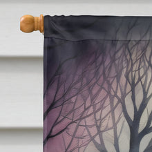 Load image into Gallery viewer, Border Terrier Spooky Halloween House Flag