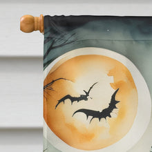 Load image into Gallery viewer, La Llorona Skeleton Spooky Halloween House Flag
