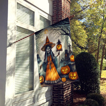 Load image into Gallery viewer, La Llorona Skeleton Spooky Halloween House Flag