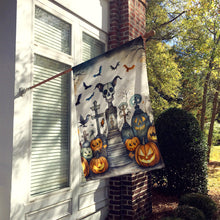 Load image into Gallery viewer, Pet Cemetery Spooky Halloween House Flag