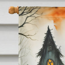 Load image into Gallery viewer, The Weeping Woman Spooky Halloween House Flag