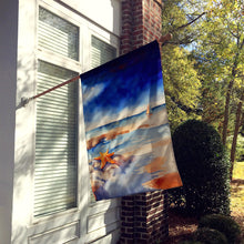 Load image into Gallery viewer, Starfish House Flag
