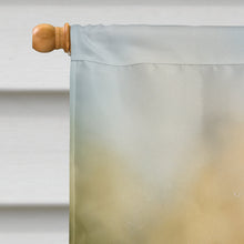 Load image into Gallery viewer, Trout House Flag