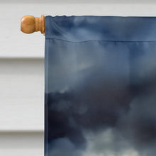 Load image into Gallery viewer, Cheetah House Flag