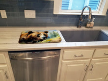 Load image into Gallery viewer, Grizzly Bear Dish Drying Mat