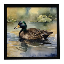 Load image into Gallery viewer, American Black Duck Framed Metal Print