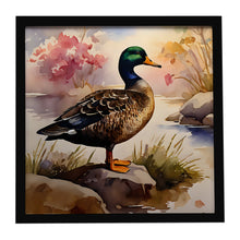 Load image into Gallery viewer, American Black Duck Framed Metal Print