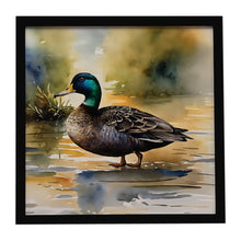 Load image into Gallery viewer, American Black Duck Framed Metal Print