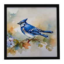 Load image into Gallery viewer, Blue Jay Framed Metal Print