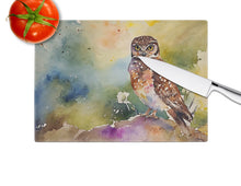 Load image into Gallery viewer, Burrowing Owl Glass Cutting Boards – Durable, Decorative Kitchen Art